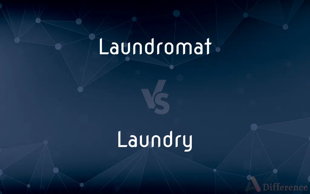 Laundromat vs. Laundry — What's the Difference?