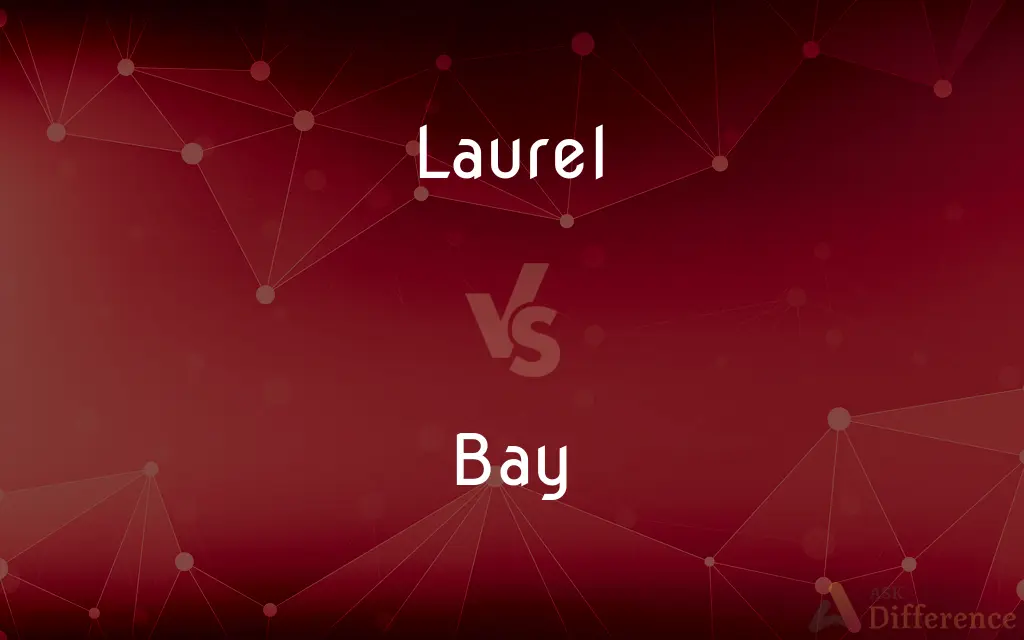 Laurel vs. Bay — What's the Difference?