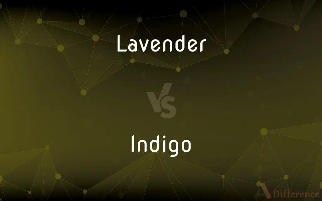 Lavender vs. Indigo — What's the Difference?