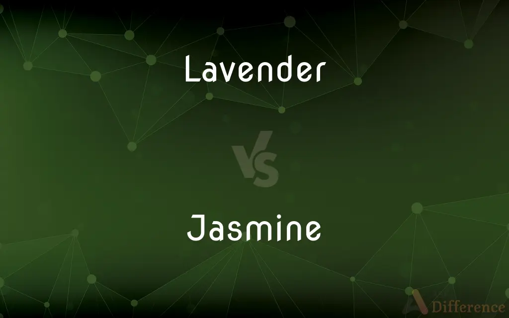 Lavender vs. Jasmine — What's the Difference?