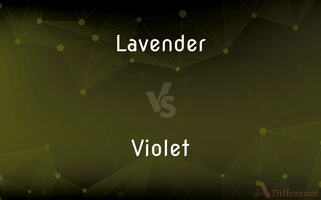 Lavender vs. Violet — What's the Difference?