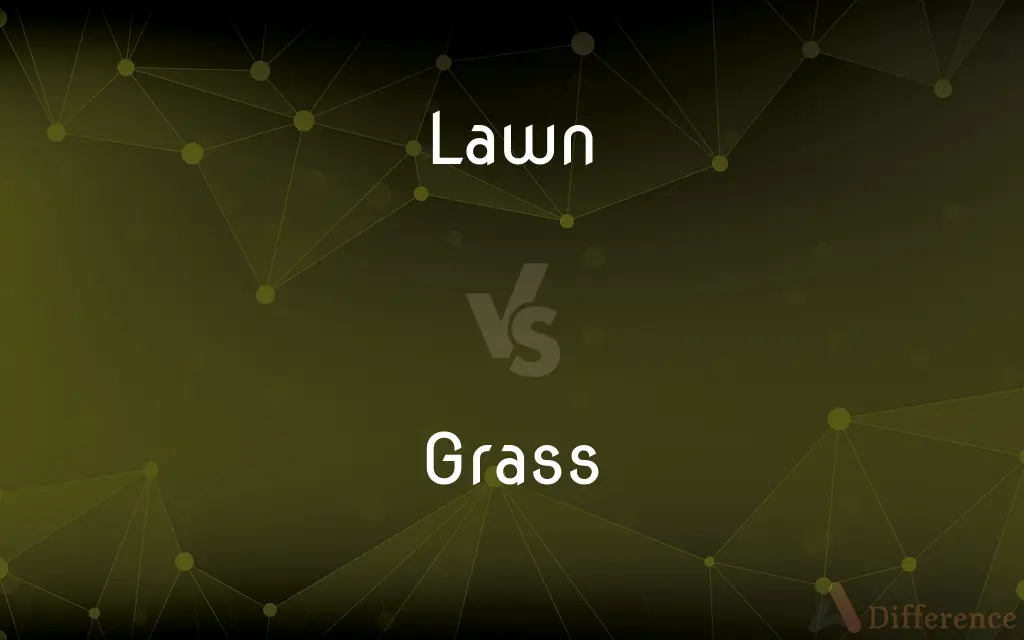 Lawn vs. Grass — What's the Difference?