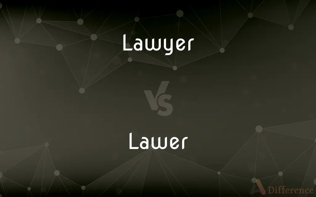 Lawyer vs. Lawer — What's the Difference?