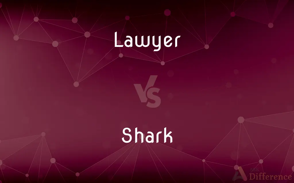 Lawyer vs. Shark — What's the Difference?