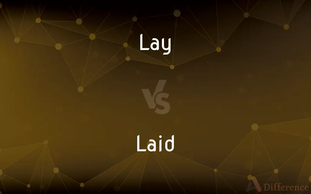 Lay vs. Laid — What's the Difference?