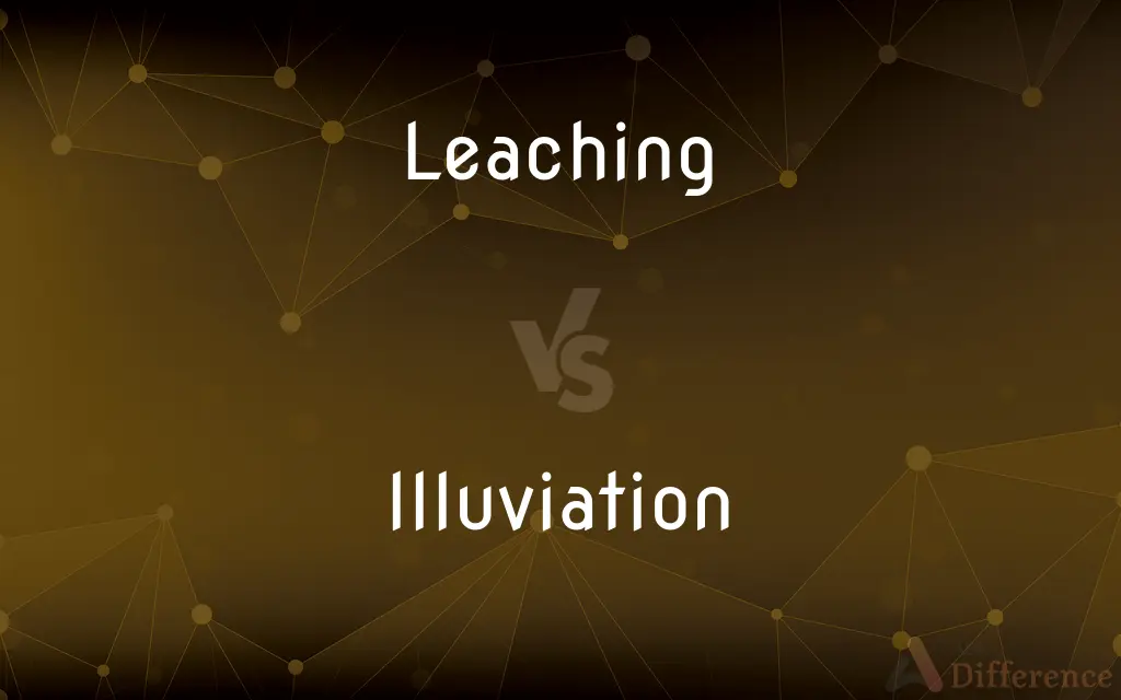 Leaching vs. Illuviation — What's the Difference?