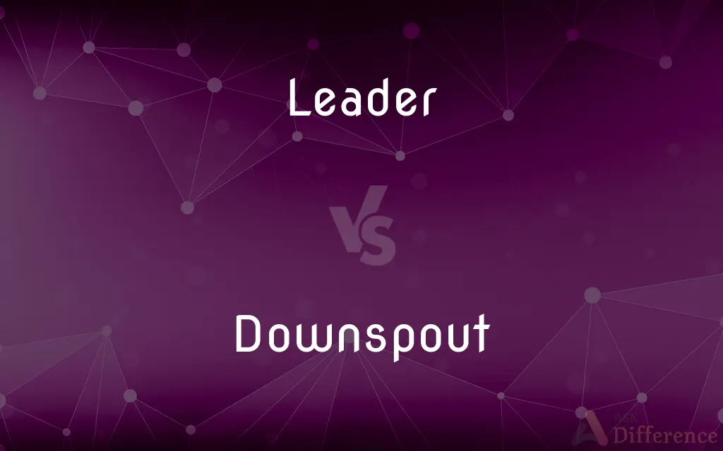 Leader vs. Downspout — What's the Difference?