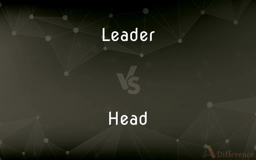 Leader vs. Head — What's the Difference?