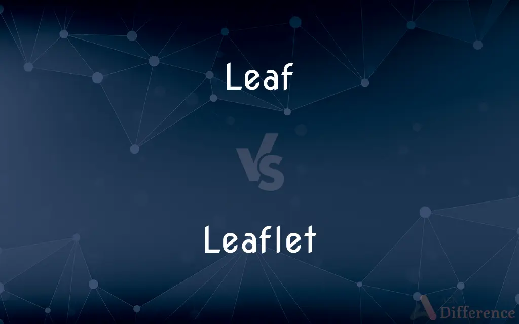 Leaf vs. Leaflet — What's the Difference?