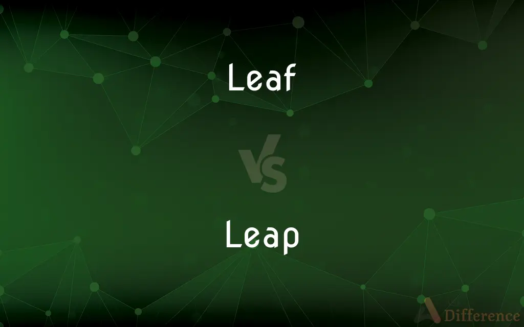 Leaf vs. Leap — What's the Difference?