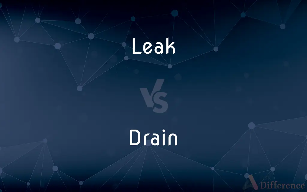 Leak vs. Drain — What's the Difference?