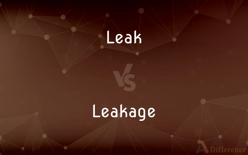 Leak vs. Leakage — What's the Difference?