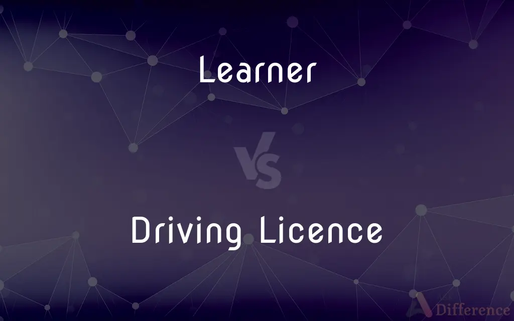 Learner vs. Driving Licence — What's the Difference?