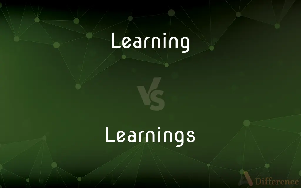 Learning vs. Learnings — What's the Difference?