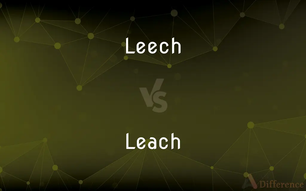 Leech vs. Leach — What's the Difference?