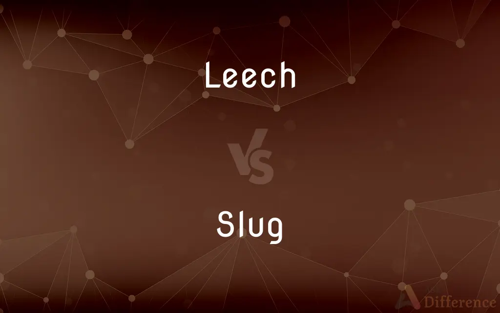 Leech vs. Slug — What's the Difference?