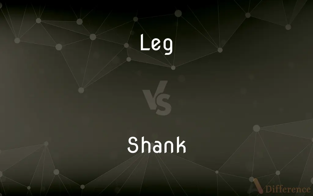 Leg vs. Shank — What's the Difference?
