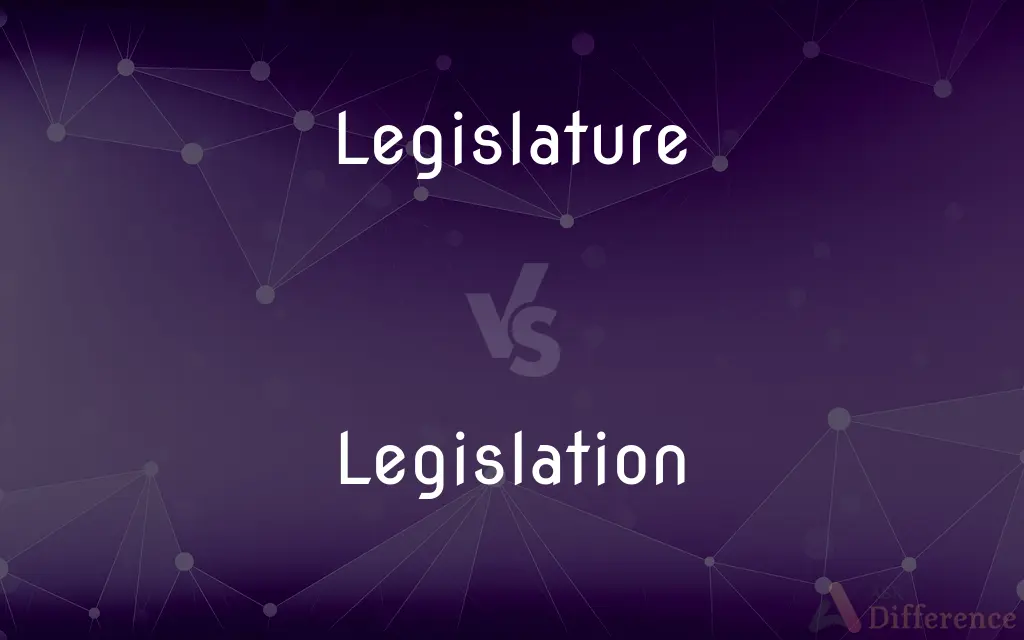 Legislature vs. Legislation — What's the Difference?