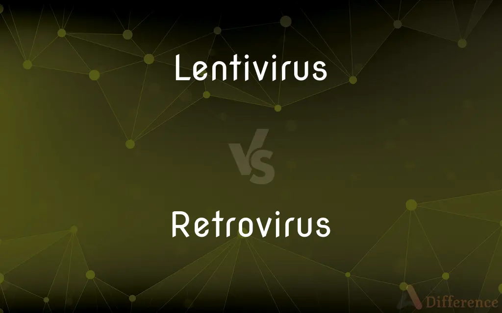 Lentivirus vs. Retrovirus — What's the Difference?