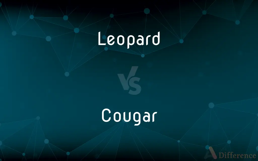 Leopard vs. Cougar — What's the Difference?