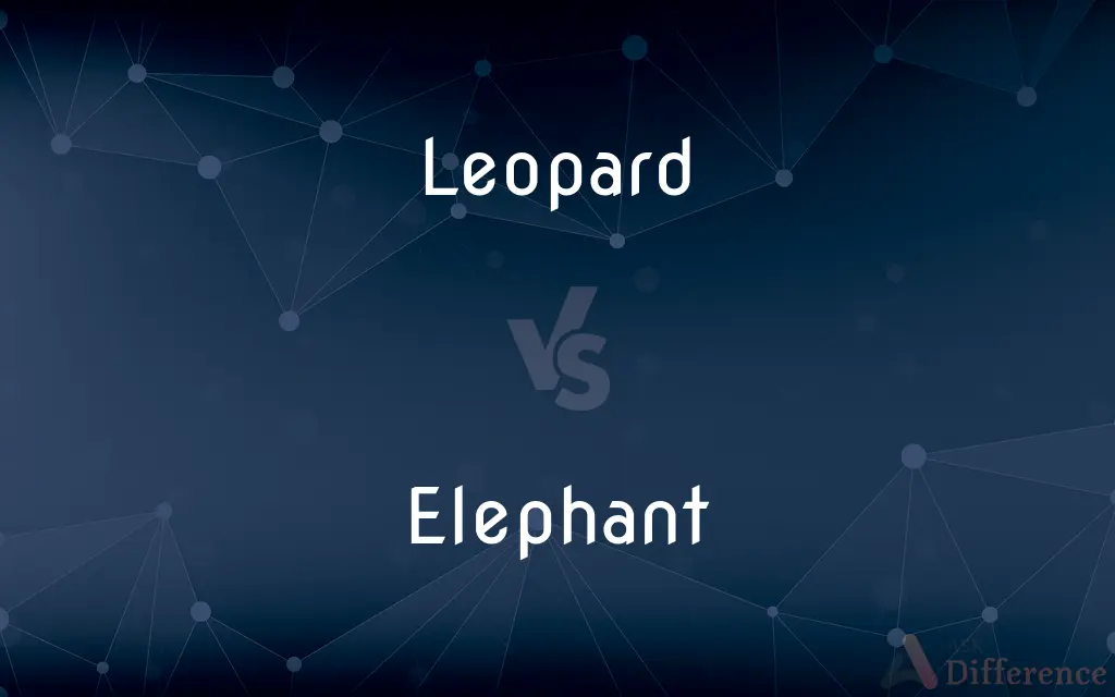 Leopard vs. Elephant — What's the Difference?