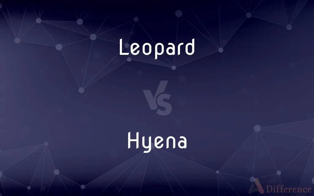 Leopard vs. Hyena — What's the Difference?