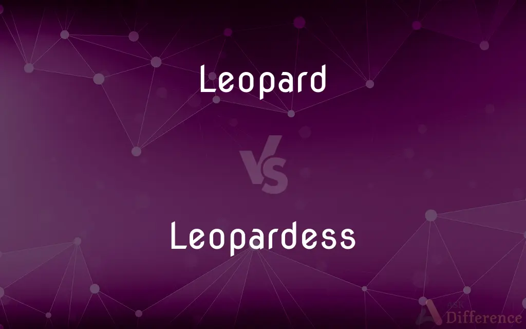 Leopard vs. Leopardess — What's the Difference?