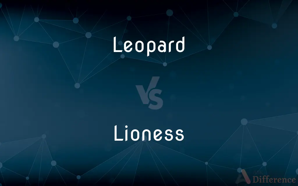 Leopard vs. Lioness — What's the Difference?
