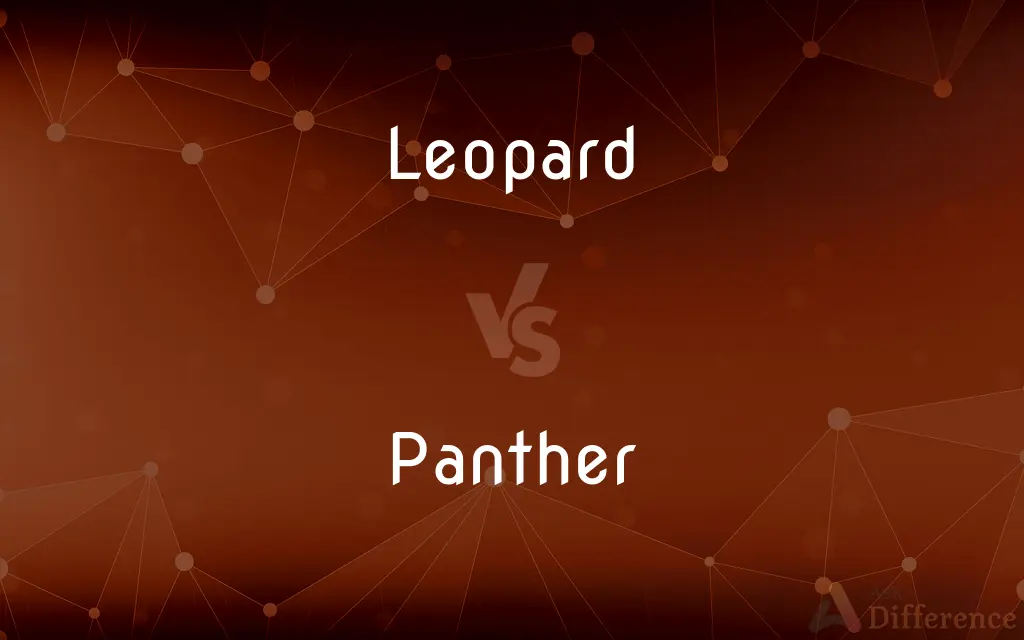Leopard vs. Panther — What's the Difference?