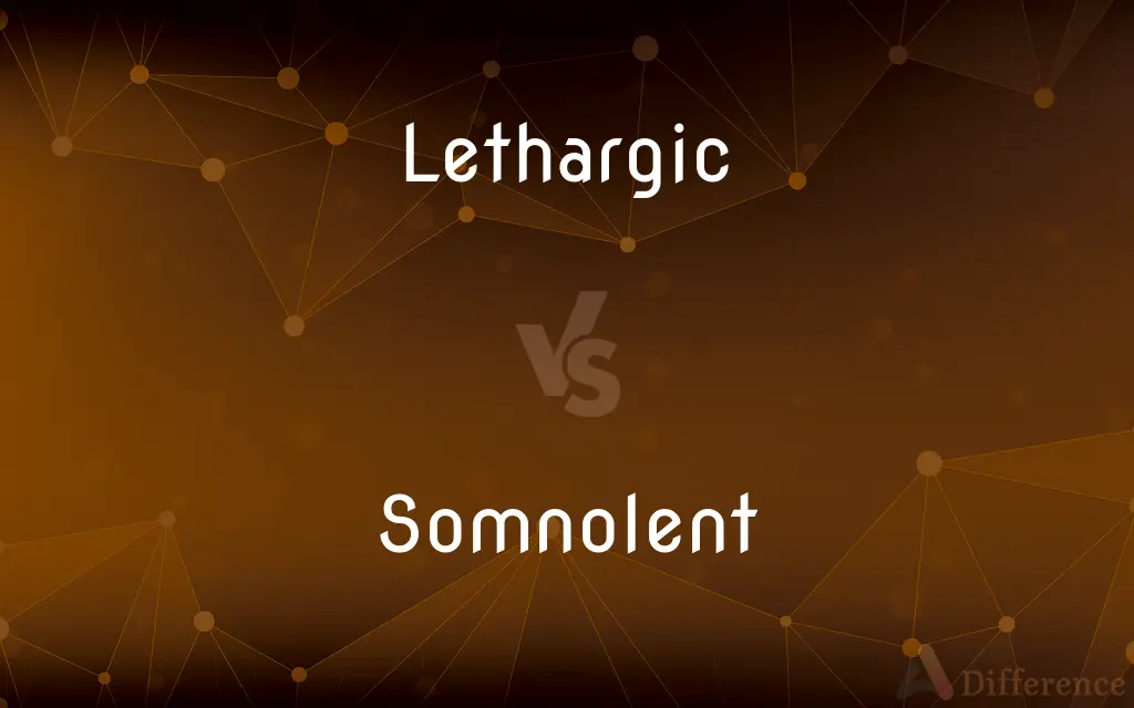 Lethargic vs. Somnolent — What's the Difference?