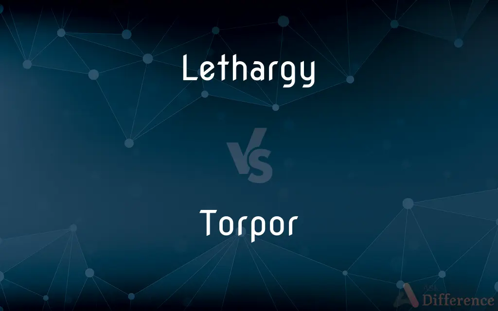 Lethargy vs. Torpor — What's the Difference?