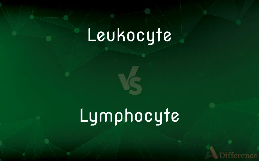Leukocyte vs. Lymphocyte — What's the Difference?