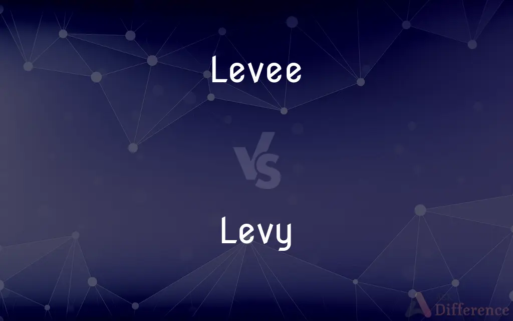 Levee vs. Levy — What's the Difference?