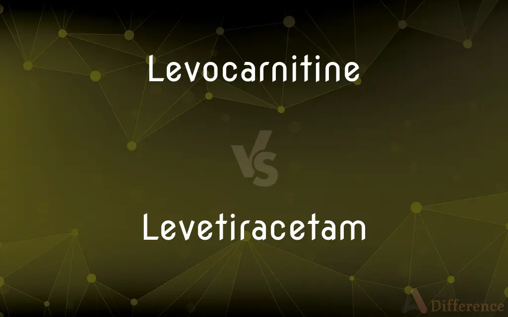 Levocarnitine vs. Levetiracetam — What's the Difference?