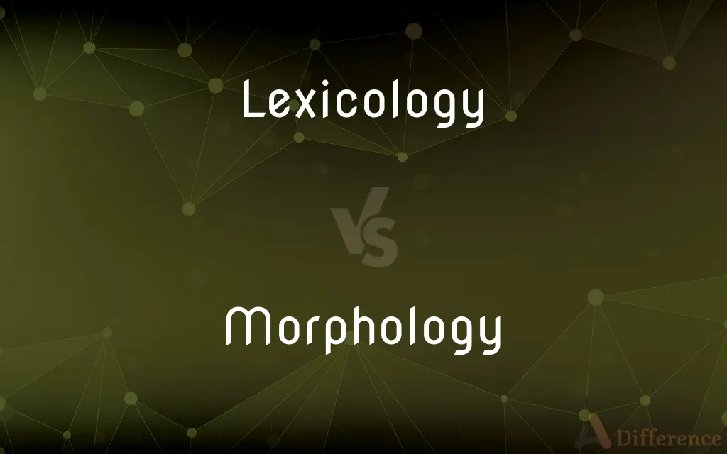 Lexicology vs. Morphology — What's the Difference?