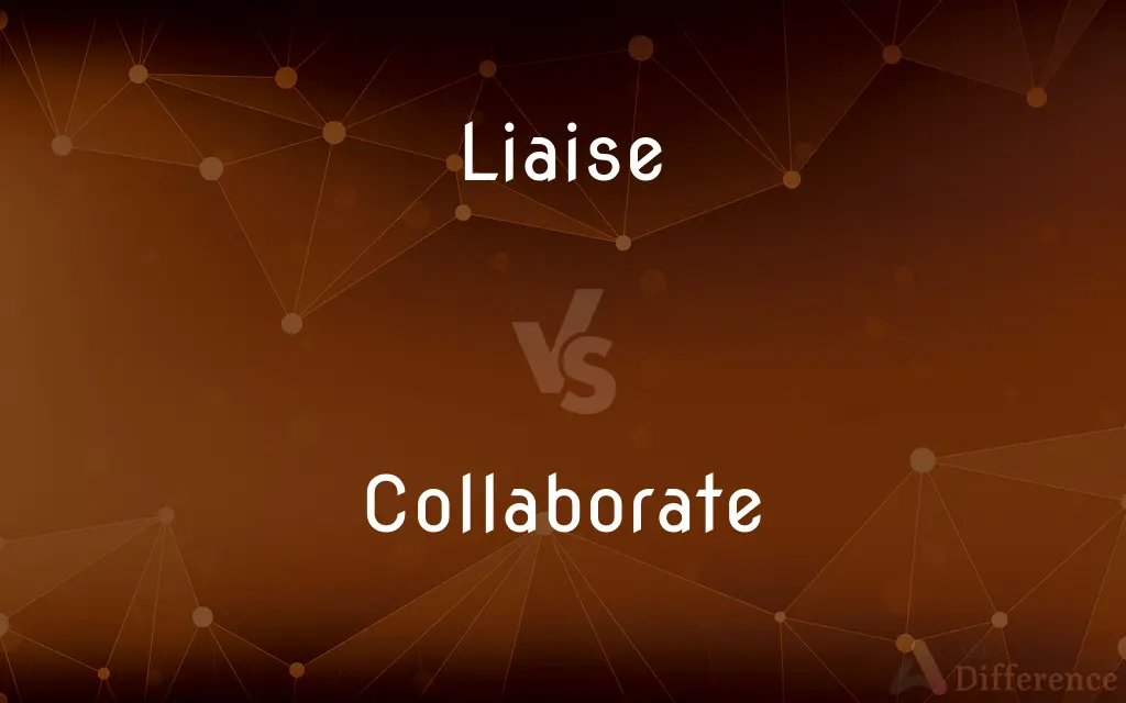 Liaise vs. Collaborate — What's the Difference?