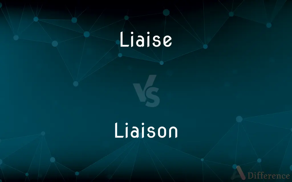 Liaise vs. Liaison — What's the Difference?