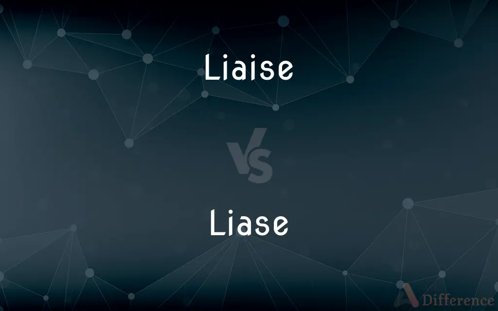 Liaise vs. Liase — Which is Correct Spelling?
