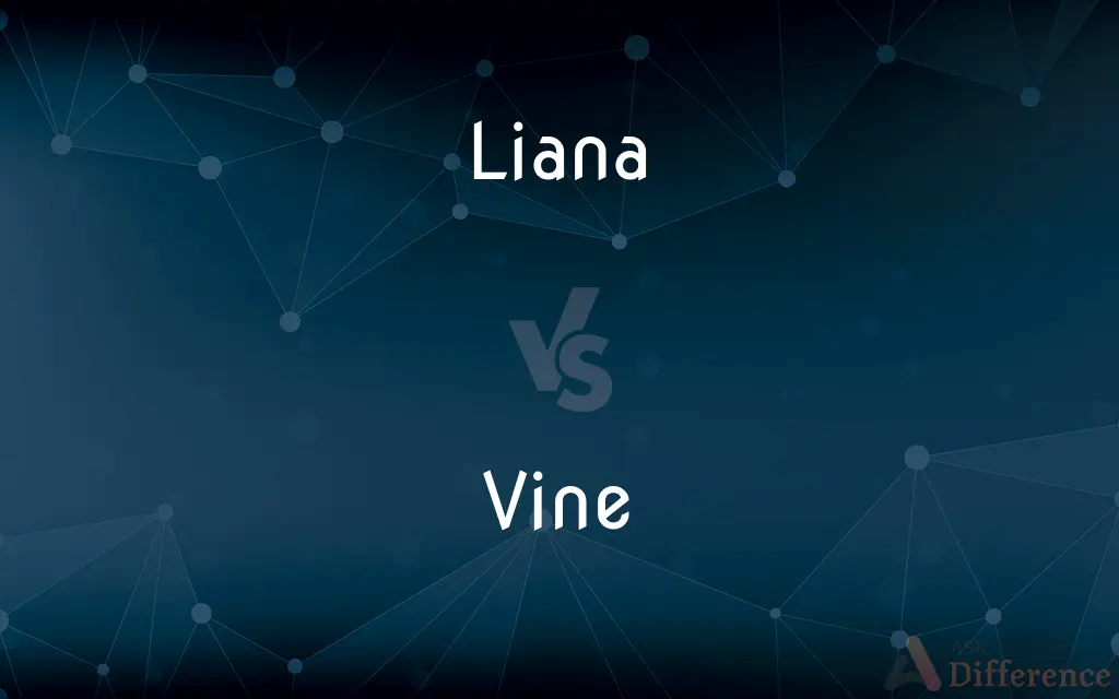 Liana vs. Vine — What's the Difference?