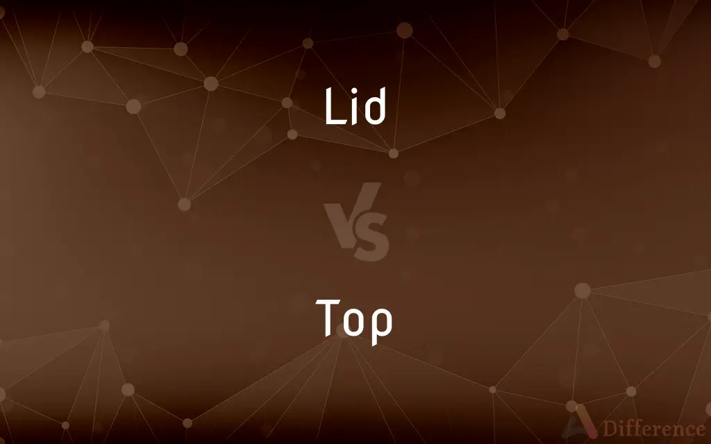 Lid vs. Top — What's the Difference?