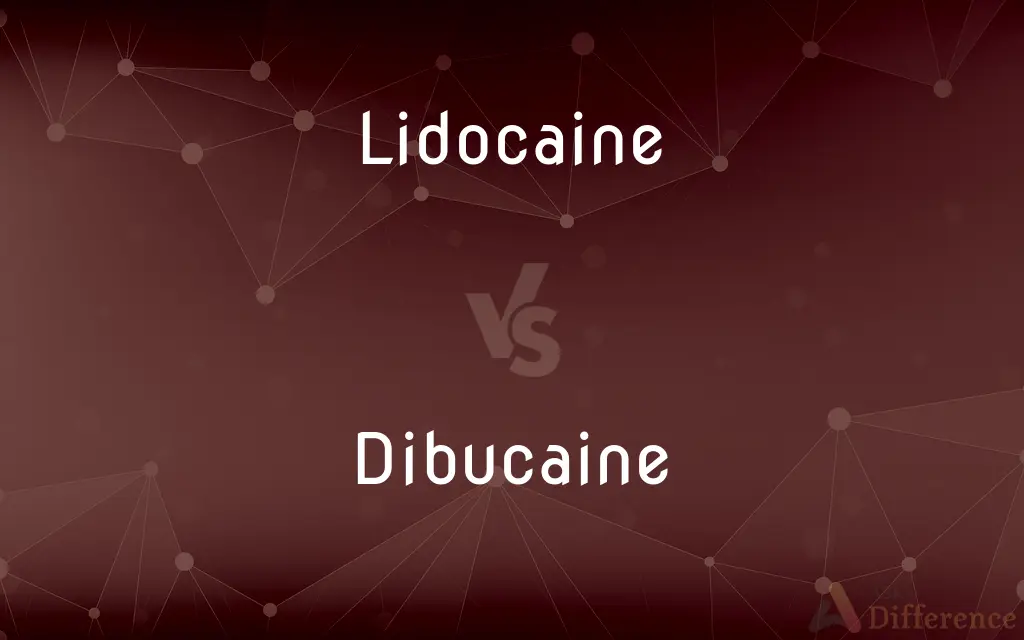 Lidocaine vs. Dibucaine — What's the Difference?