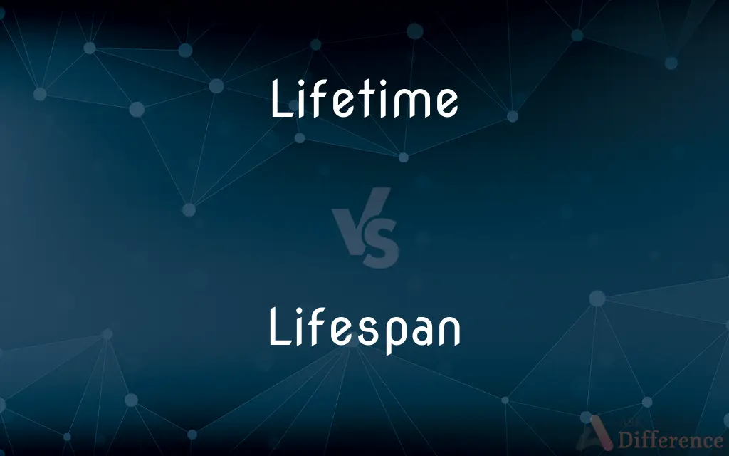Lifetime vs. Lifespan — What's the Difference?