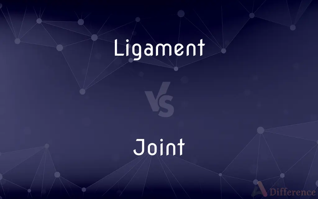 Ligament vs. Joint — What's the Difference?