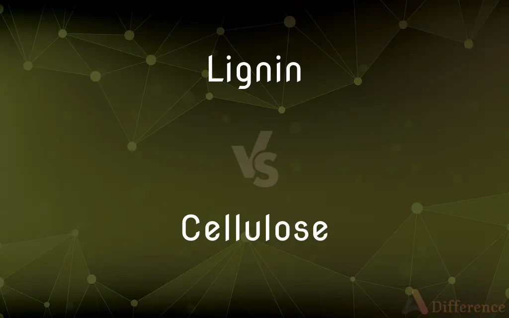 Lignin vs. Cellulose — What's the Difference?