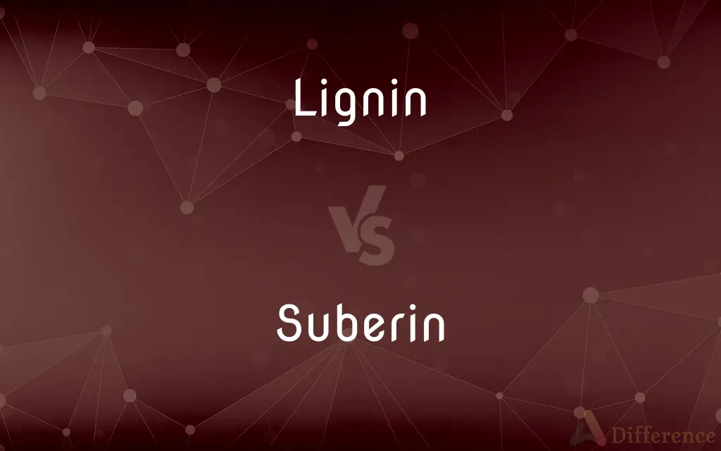 Lignin vs. Suberin — What's the Difference?