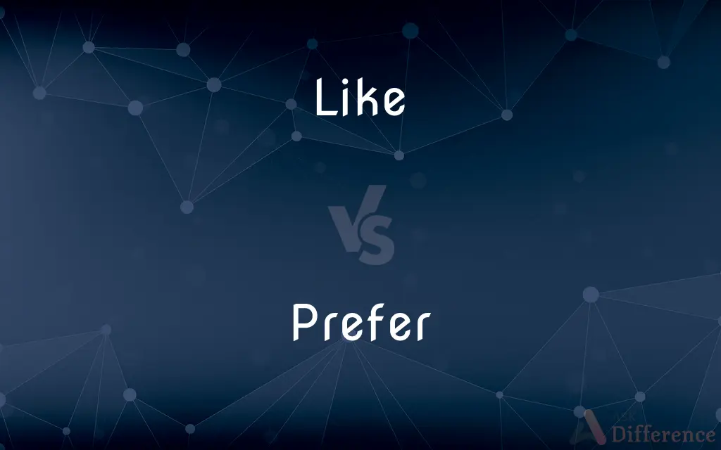 Like vs. Prefer — What's the Difference?