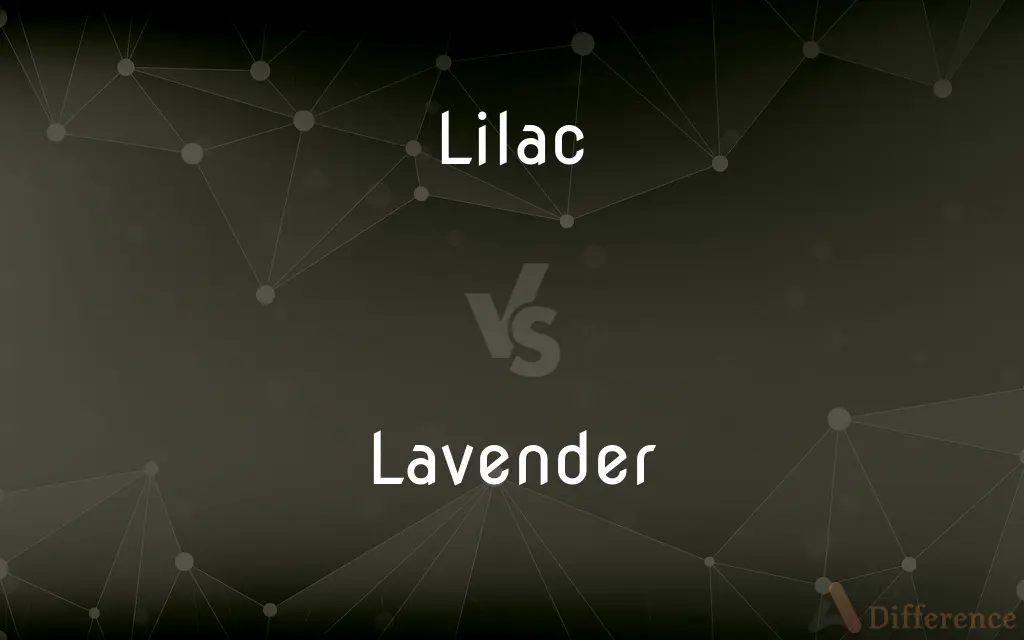 Lilac vs. Lavender — What's the Difference?