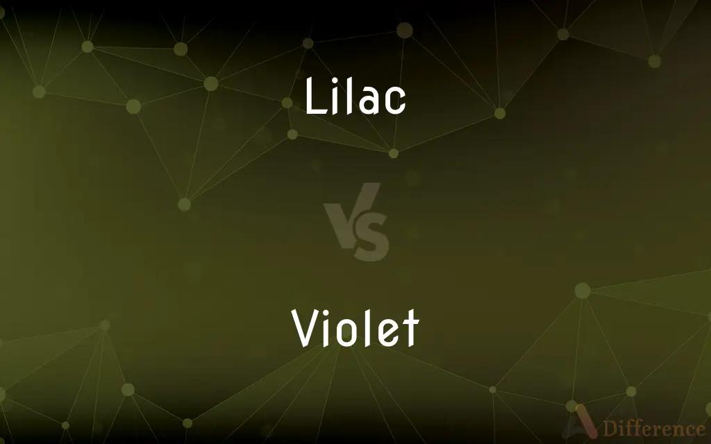 Lilac vs. Violet — What's the Difference?