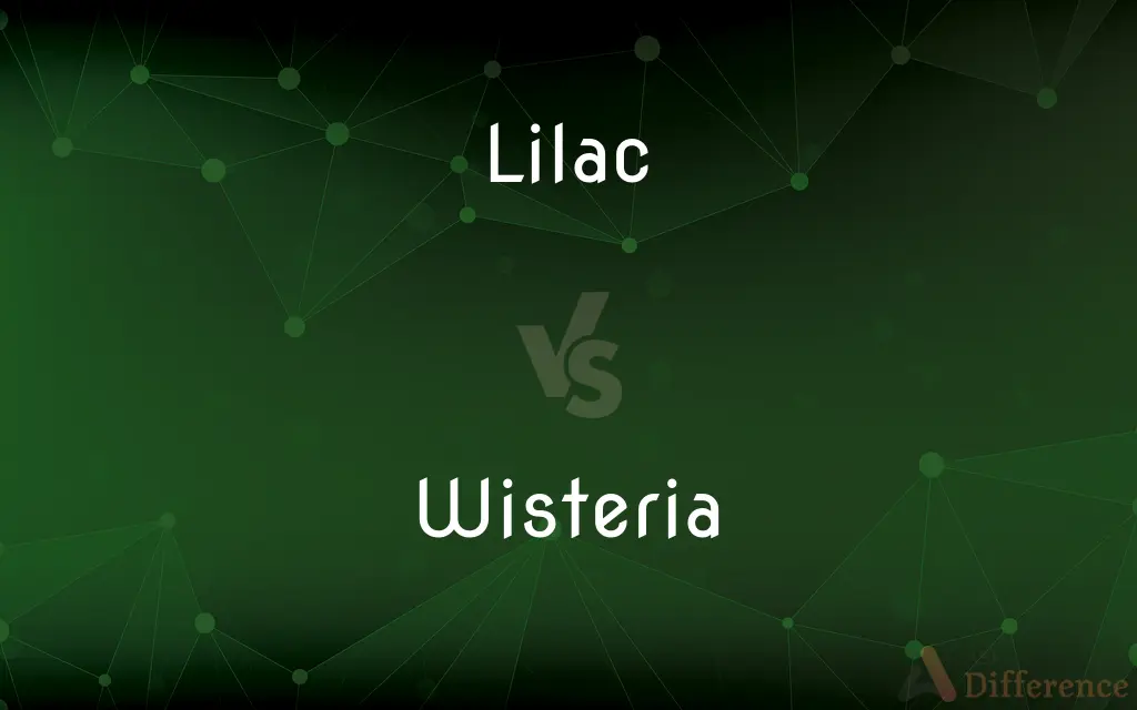 Lilac vs. Wisteria — What's the Difference?