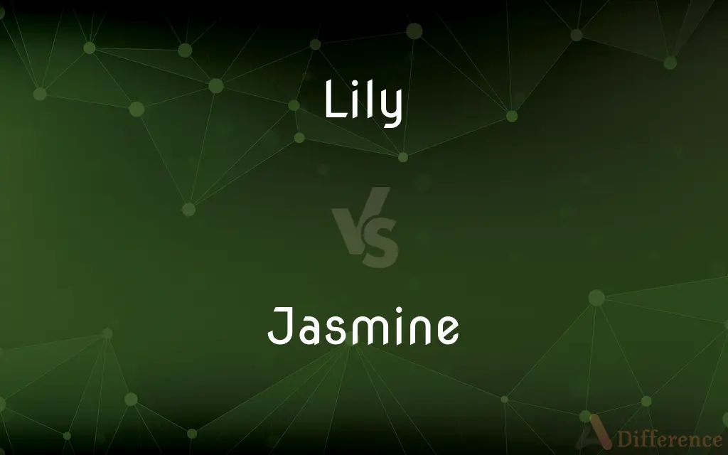 Lily vs. Jasmine — What's the Difference?